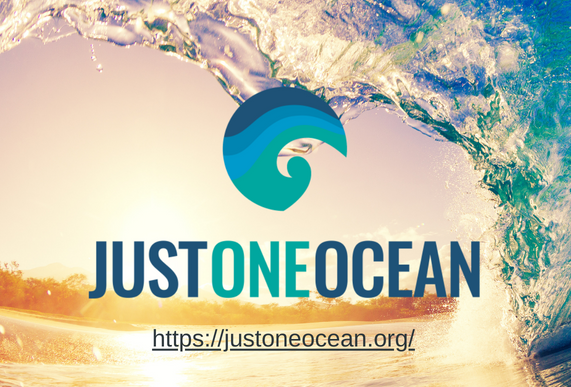 Just one ocean logo